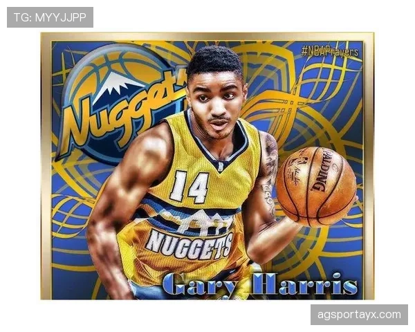 梅里诺攻防能力解析